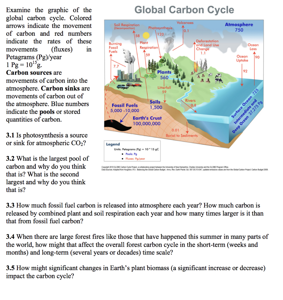 solved-examine-the-graphic-of-the-global-carbon-cycle-chegg