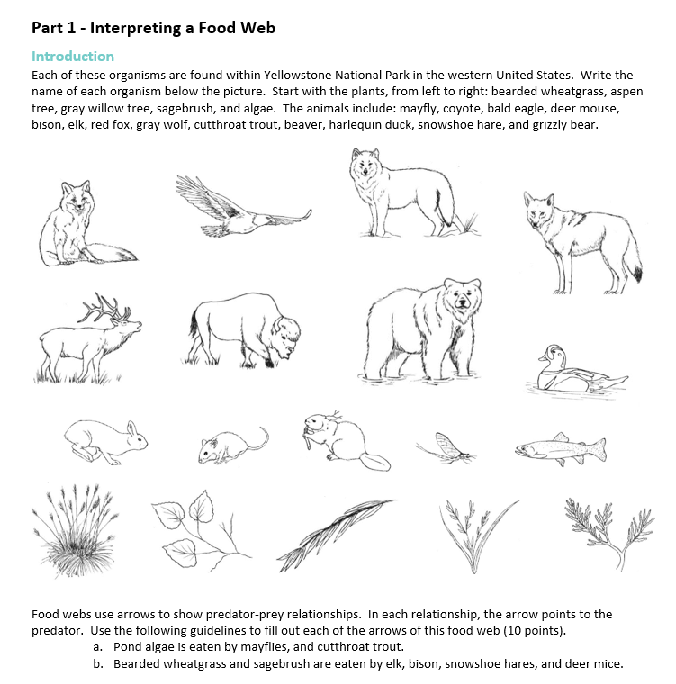 Solved Part 1 - Interpreting a Food Web Introduction Each of | Chegg.com