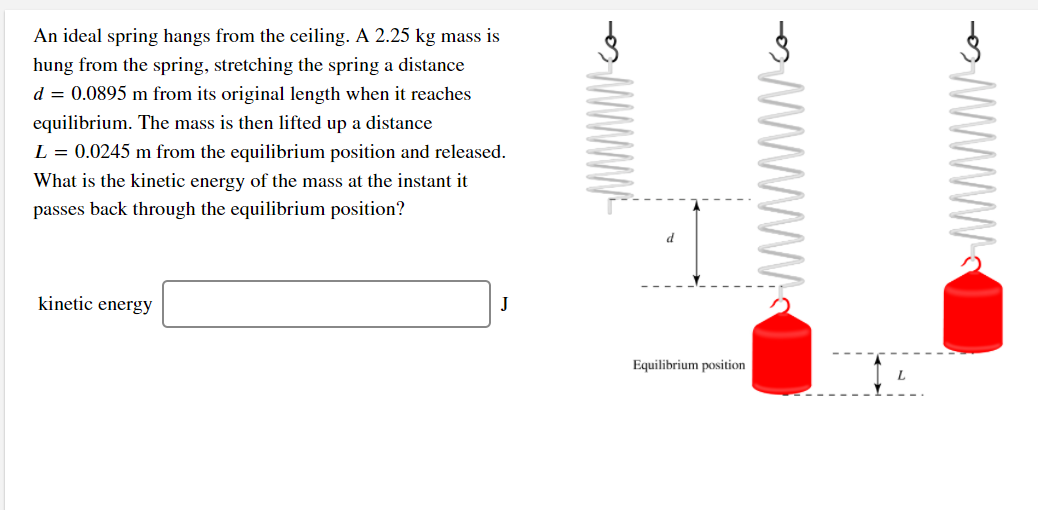Solved An ideal spring hangs from the ceiling. A 2.25 kg