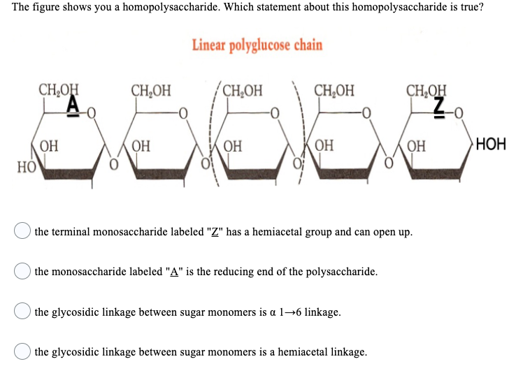 Solved The figure shows you a homopolysaccharide. Which