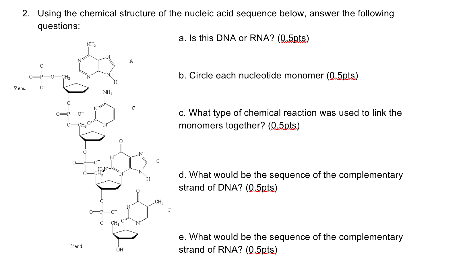 chemical structure of nucleic acids