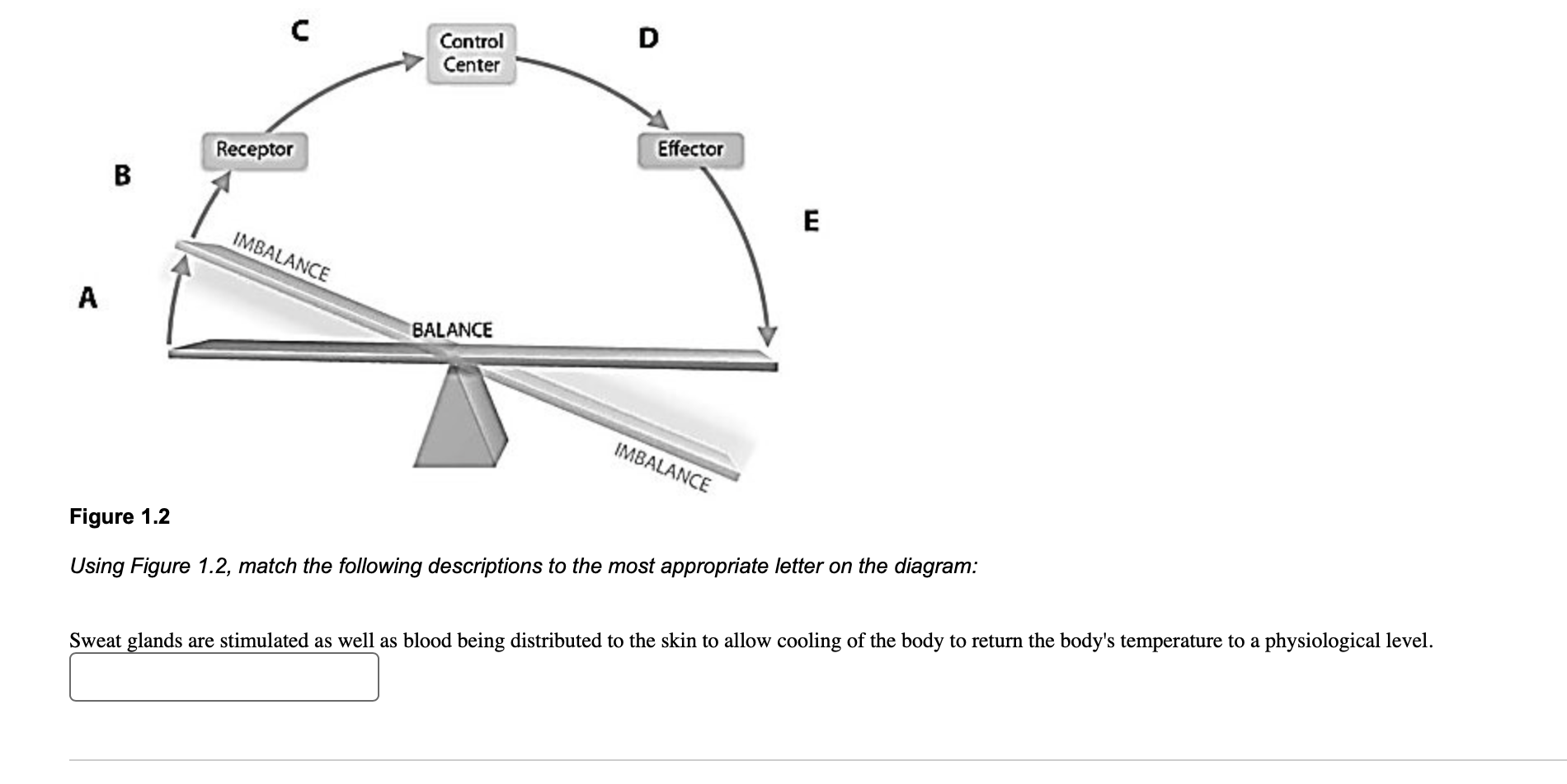 solved-using-figure-1-2-match-the-following-descriptions-to-chegg