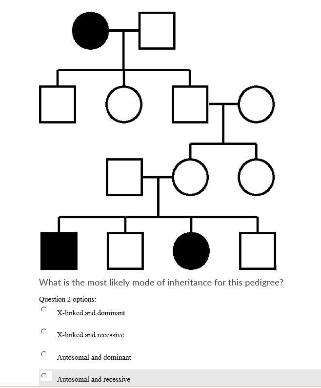 Solved 다 What Is The Most Likely Mode Of Inheritance For | Chegg.com