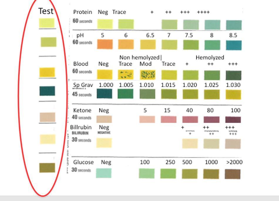 Solved 1.identify Any Abnormal Readings On This 