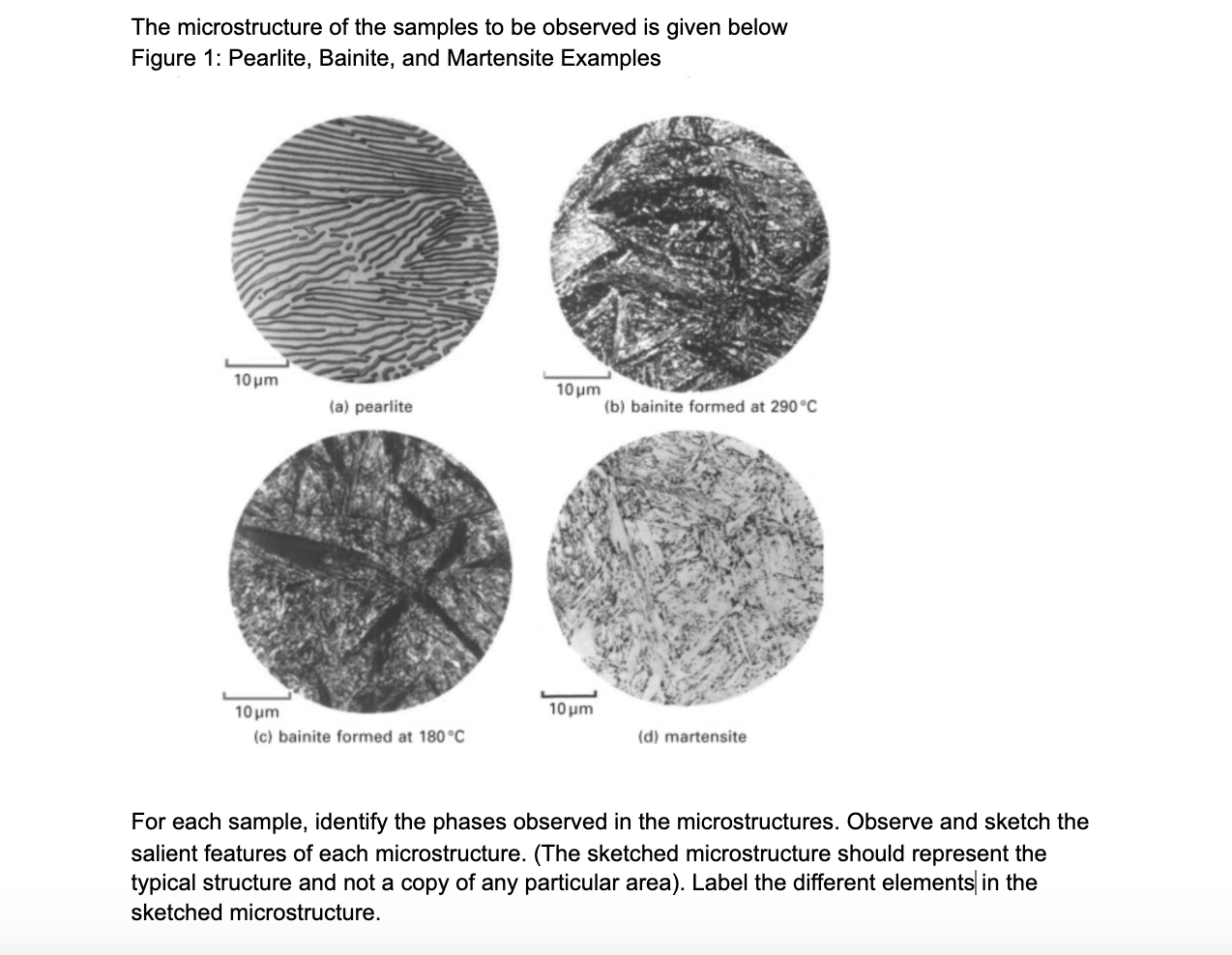 Solved The Microstructure Of The Samples To Be Observed Is Chegg Com