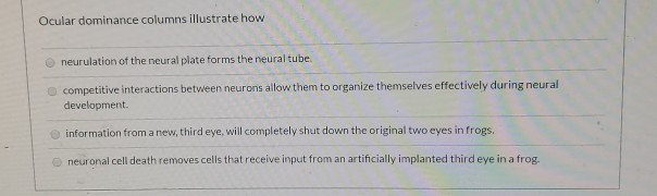 Solved Ocular dominance columns illustrate how neurulation | Chegg.com