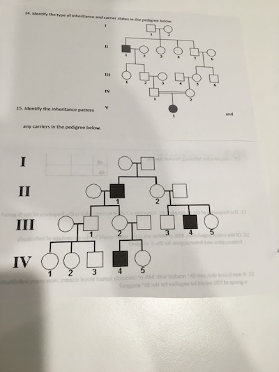 Solved ధరం రాధారం IV 15. Identify the inheritance pattern V | Chegg.com