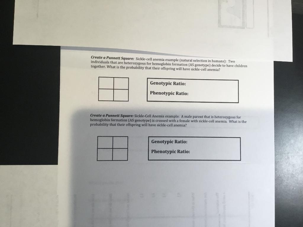 Create a Punnett Square: Sickle-cell anemia example (natural selection in humans): Two individuals that are heterozygous for 
