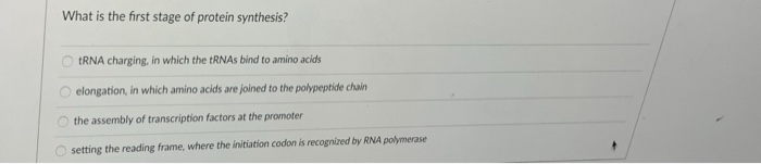 Solved What is the first stage of protein synthesis? tRNA | Chegg.com