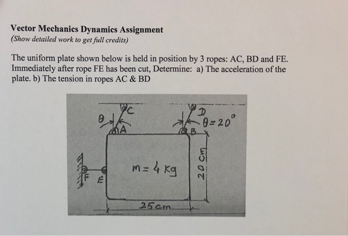 the ultimate vector dynamics assignment