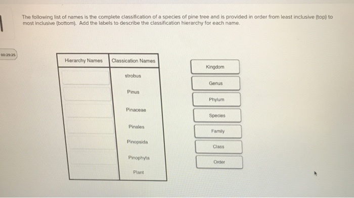 Solved The following list of names is the complete | Chegg.com