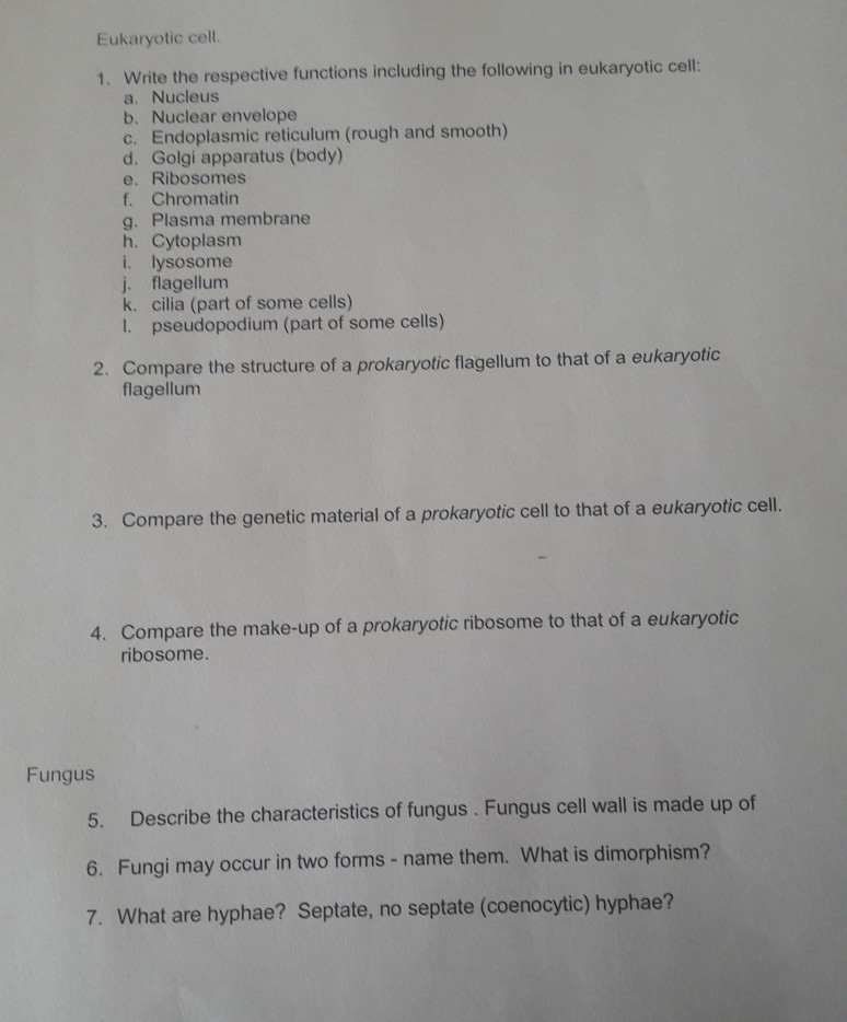 Solved Eukaryotic cell 1. Write the respective functions | Chegg.com