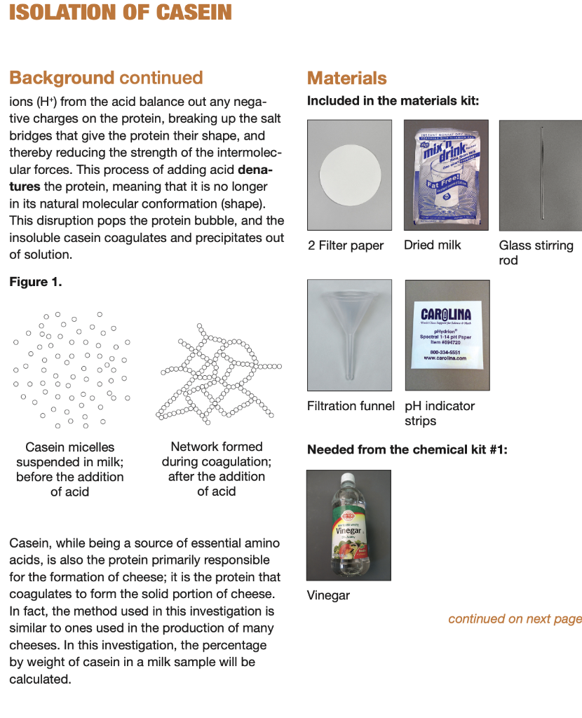 Solved Dry Milk Sample Optional Milk Sample Mass of cup | Chegg.com