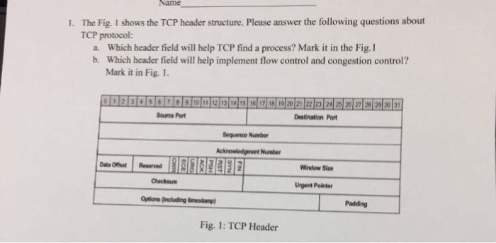 Solved Name The Fig. 1 shows the TCP header structure. | Chegg.com