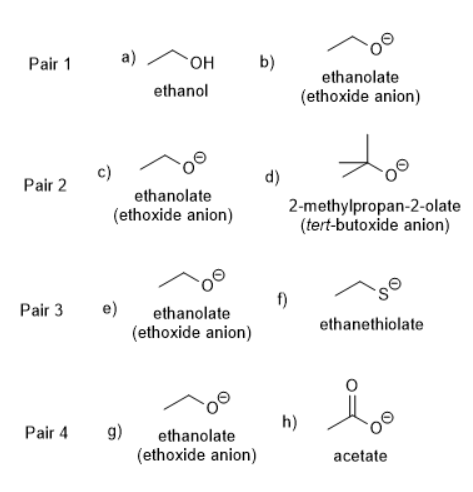 Solved The rate of a SN2 reaction depends on the | Chegg.com