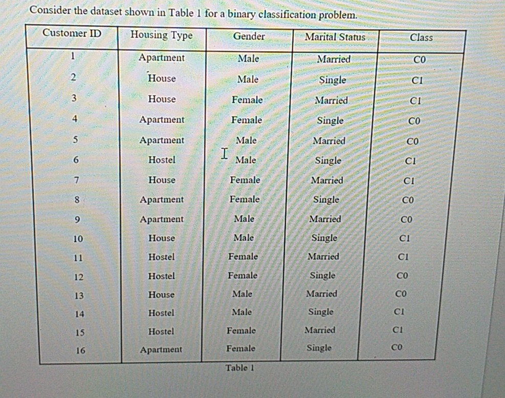 Consider The Dataset Shown In Table 1 For A Binary | Chegg.com