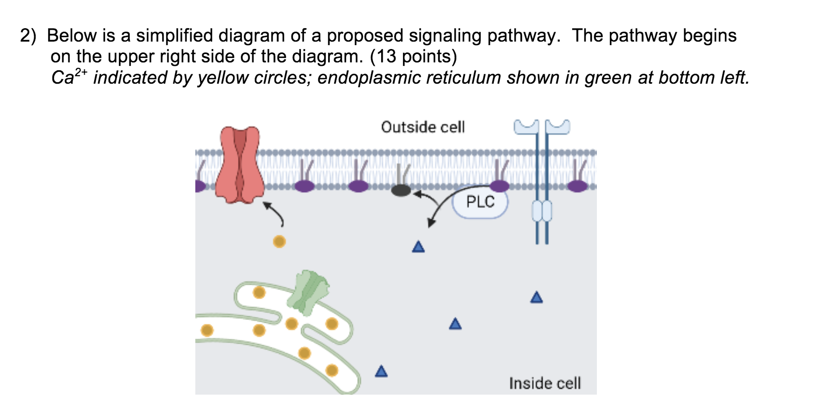 Solved 2) Below is a simplified diagram of a proposed | Chegg.com