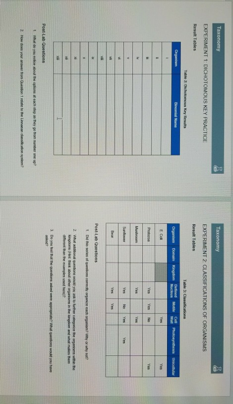 experiment 3 taxonomy organism images