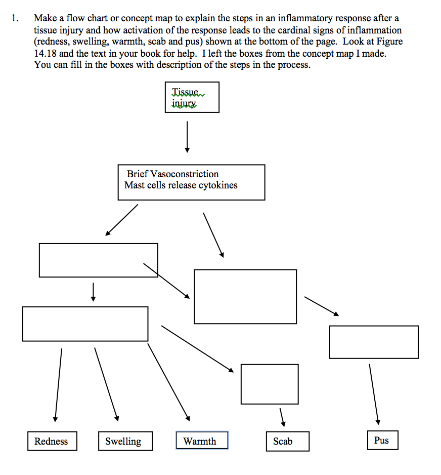 inflammatory response steps