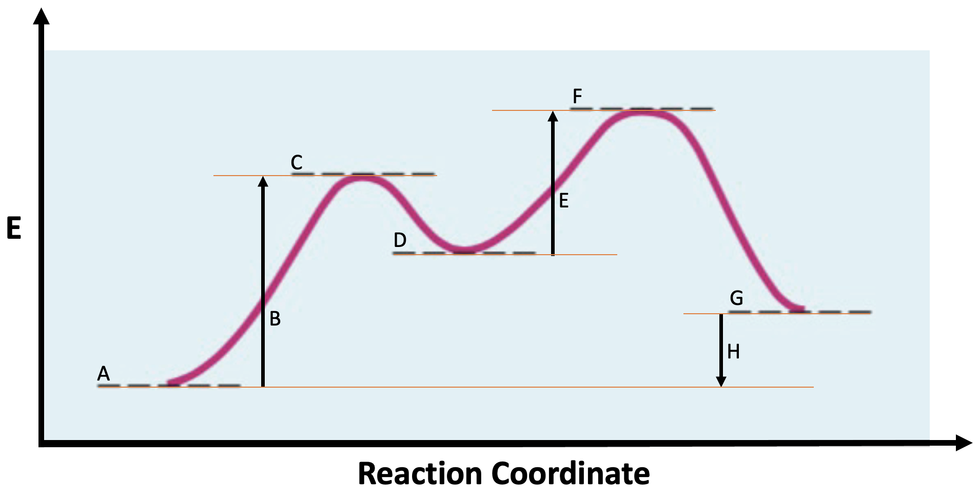 Solved Consider the following Energy Reaction Coordinate | Chegg.com