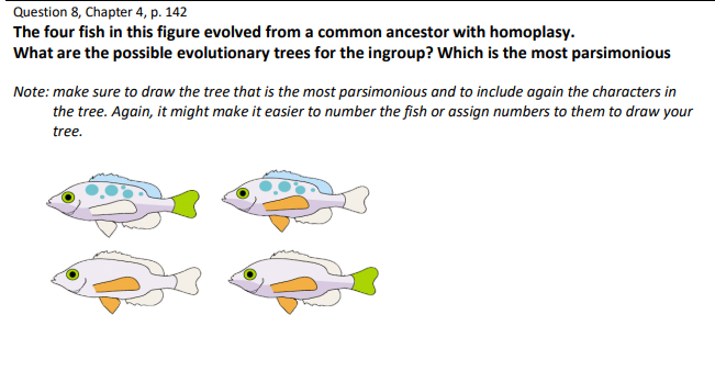 Solved Question 8, Chapter 4, p. 142 The four fish in this | Chegg.com