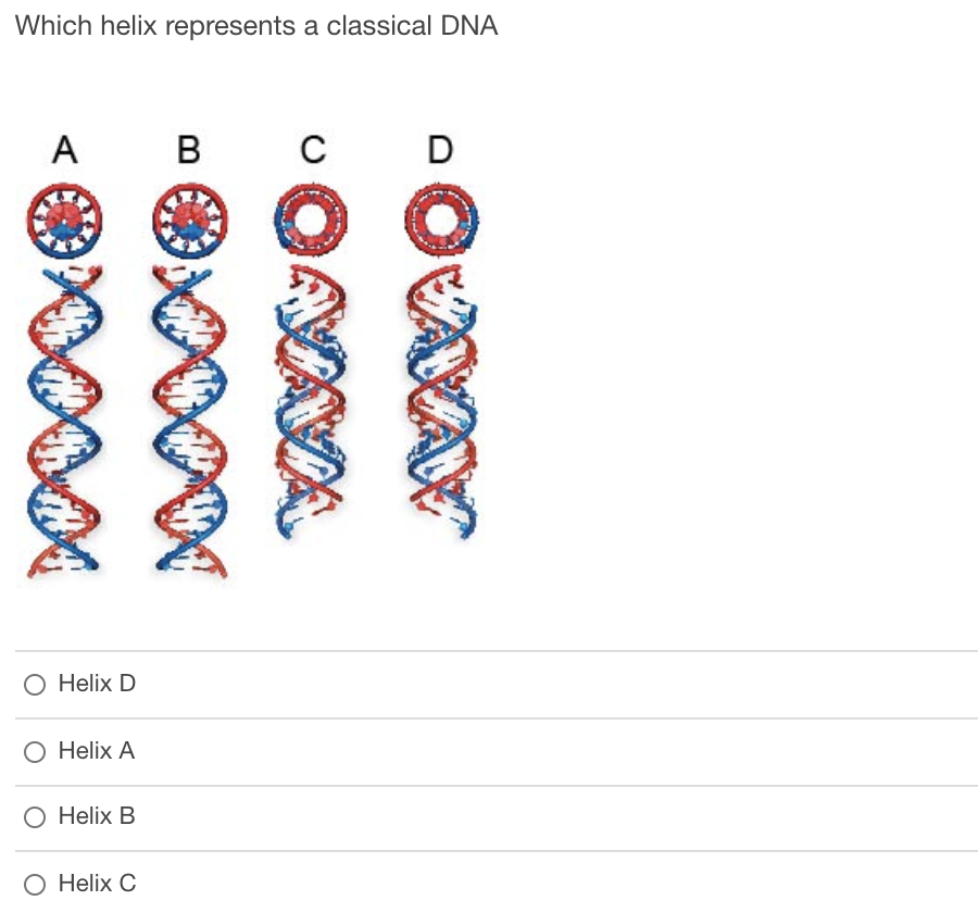 Solved Which helix represents a classical DNA A B C D O O | Chegg.com