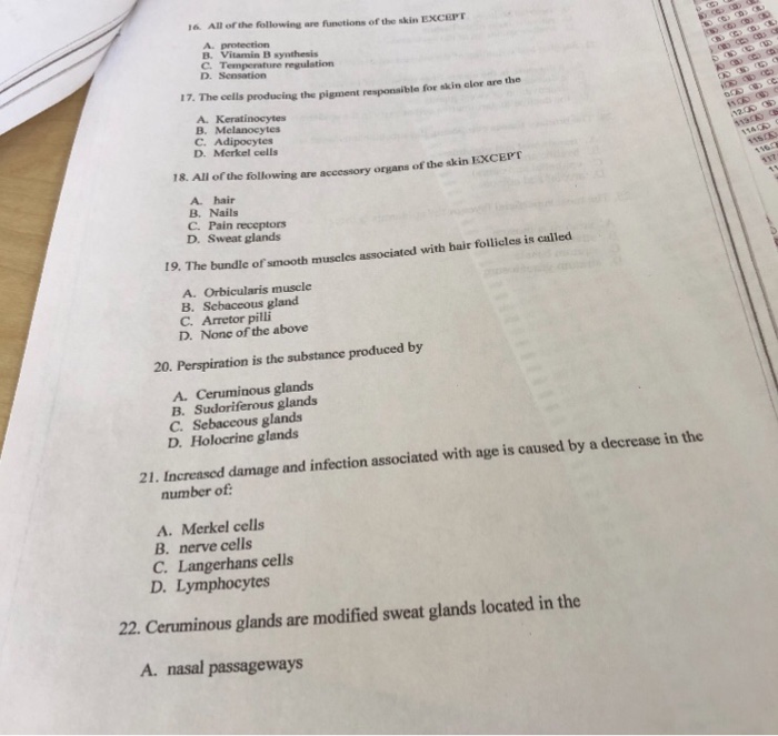 Solved l6 All of the following are functions of the skin