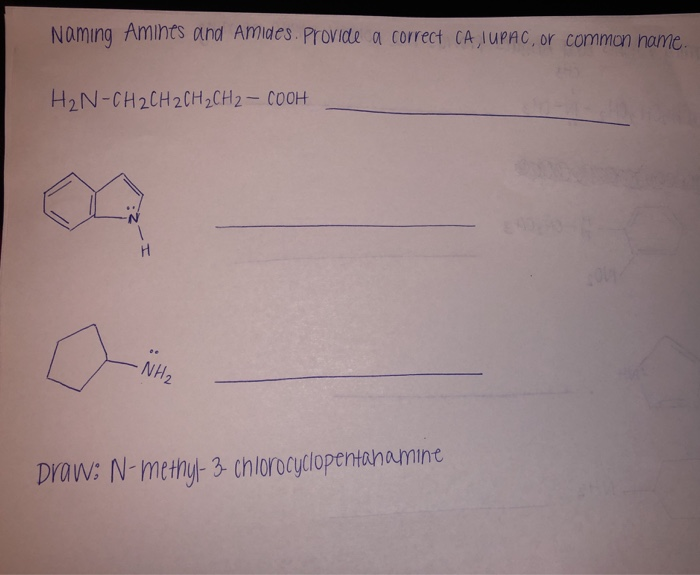 Solved Naming amines and amides. provide the correct IUPAC | Chegg.com
