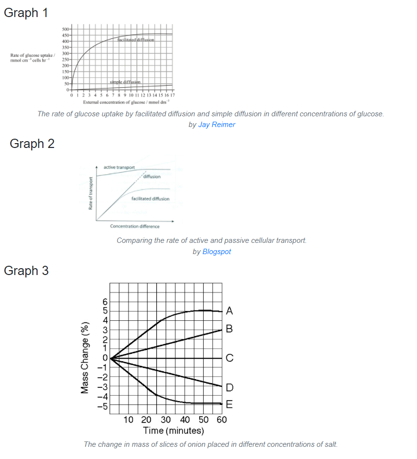 facilitated diffusion graph