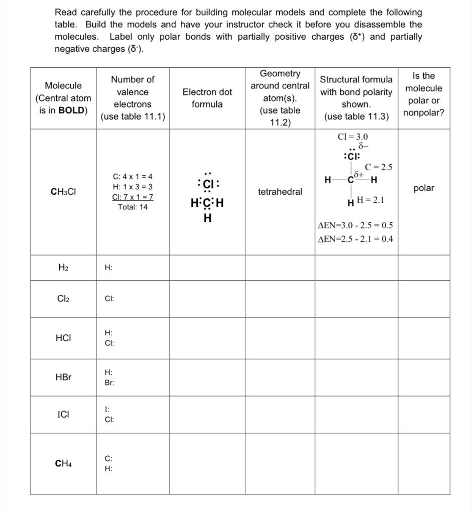 Solved Read carefully the procedure for building molecular | Chegg.com