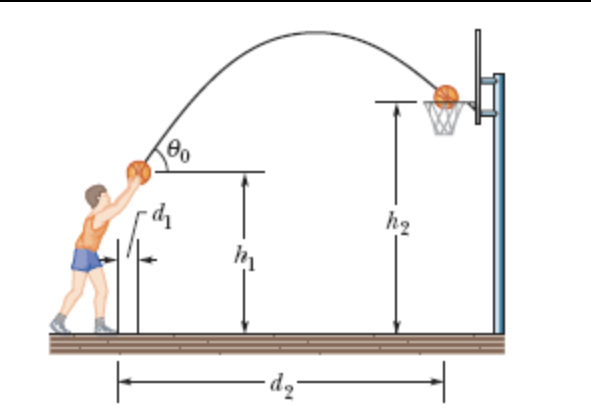 Solved At what initial speed must the basketball player in | Chegg.com
