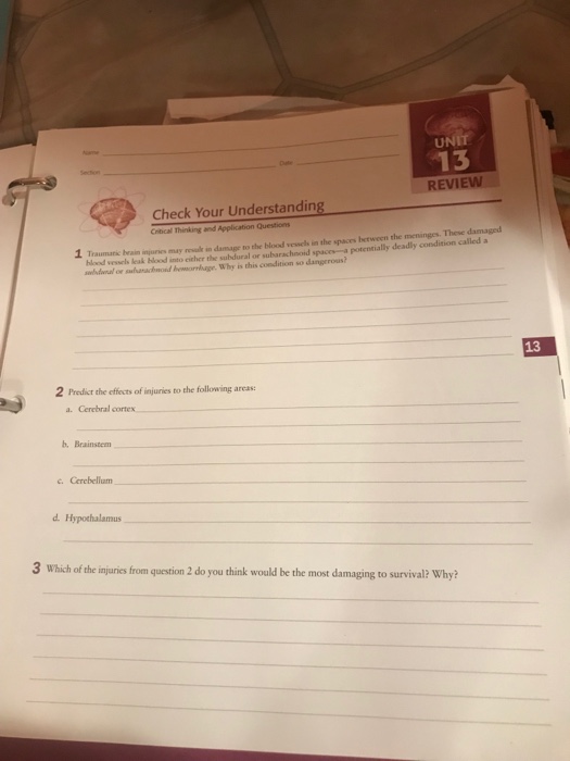 Solved UNIT 13 REVIEW Check Your Understanding between the | Chegg.com