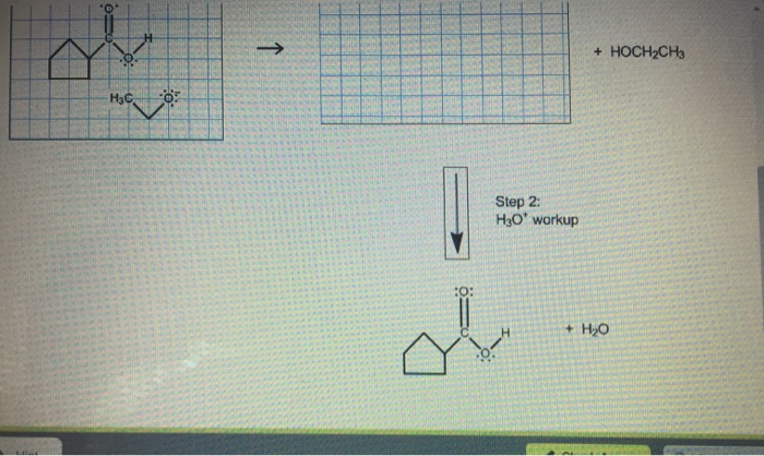 Solved A saponification of an ester occurs in two synthetic | Chegg.com