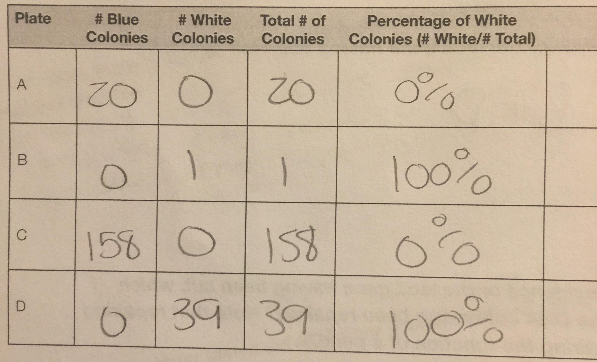 Solved Plate Blue Colonies White Colonies Total of Chegg com