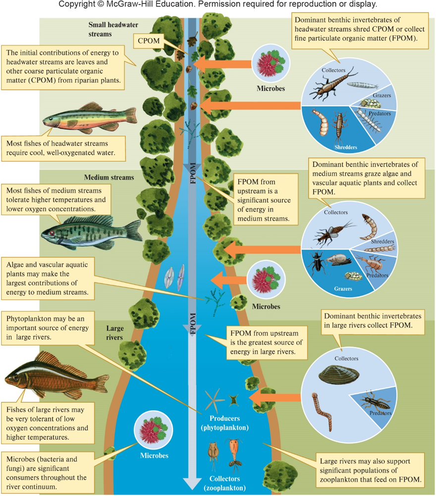 Solved According to the River Continuum Concept (see Figure | Chegg.com