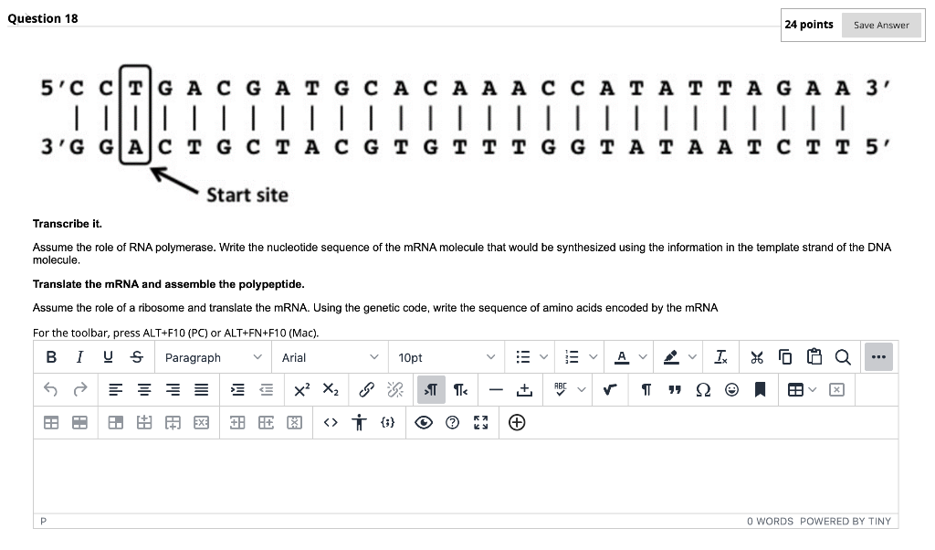 solved-question-18-24-points-save-answer-5-c-ct-gac-ga-tgca-chegg