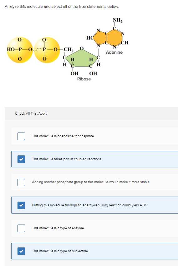 Solved Analyze this molecule and select all of the true