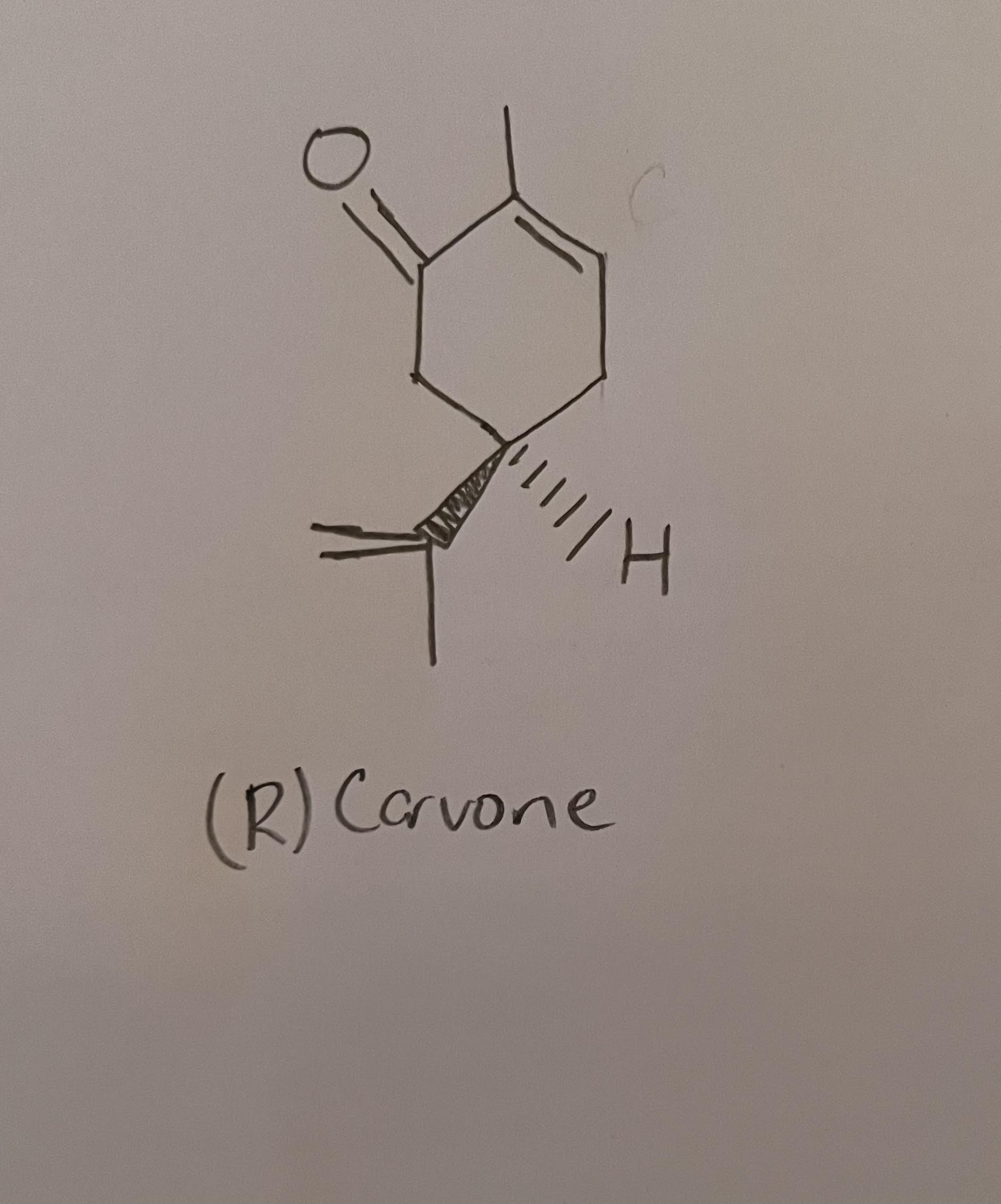 Solved (R) Carvone | Chegg.com