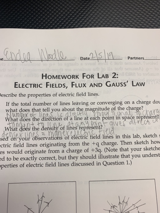 Solved Date HOMEWORK FOR LAB 2: ELECTRIC FIELDS, FLUX AND | Chegg.com