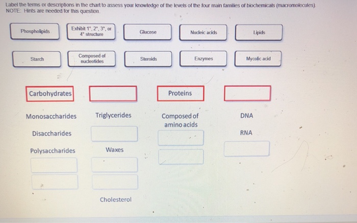 Solved Label the terms or descriptions in the chart to | Chegg.com
