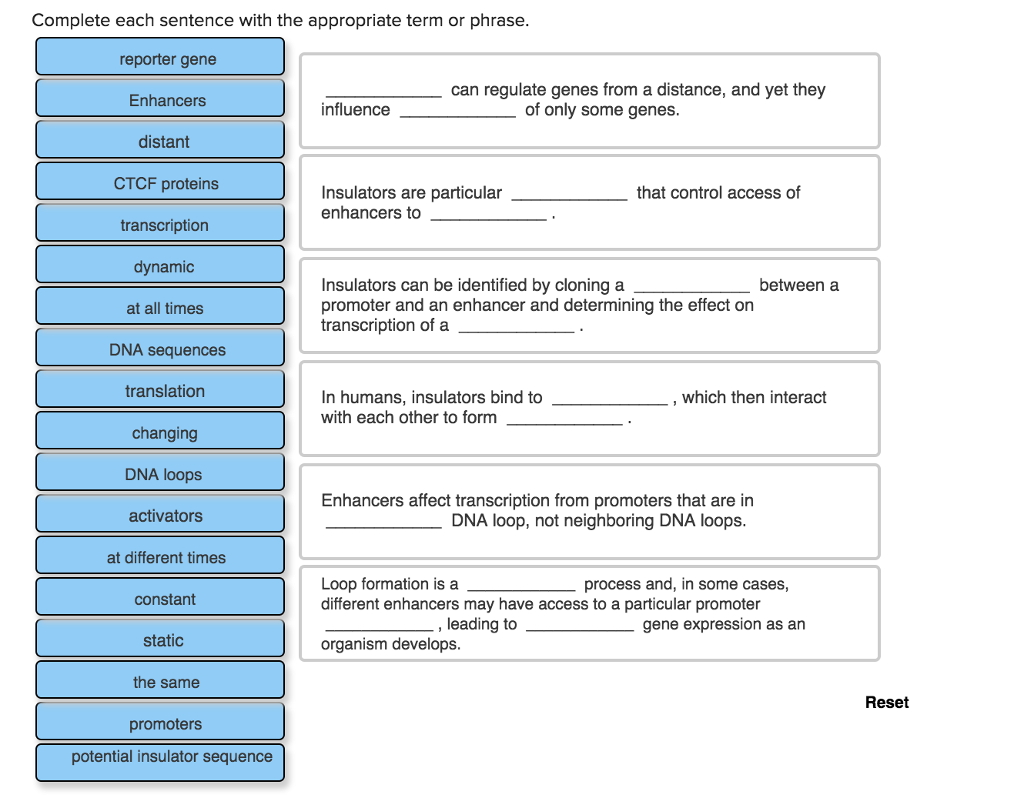 solved-complete-each-sentence-with-the-appropriate-term-not-chegg