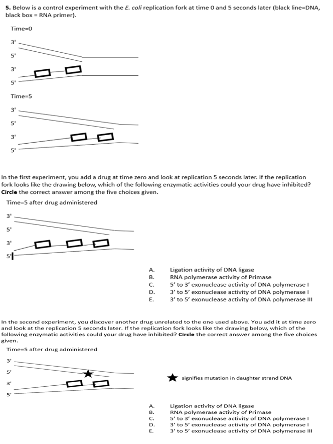 Solved 5. Below is a control experiment with the E. coli | Chegg.com