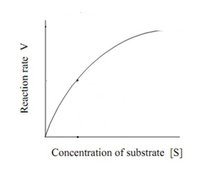 Solved Shown on the right is a typical Michaelis-Menten | Chegg.com