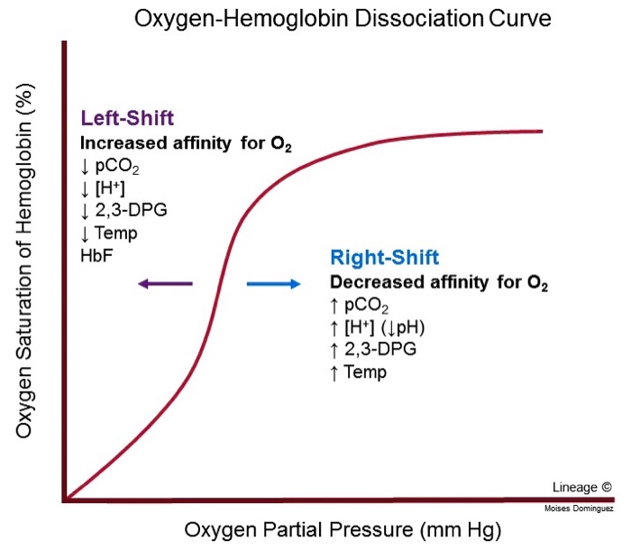 solved-why-does-a-low-ph-affect-the-hemoglobin-curve-why-chegg