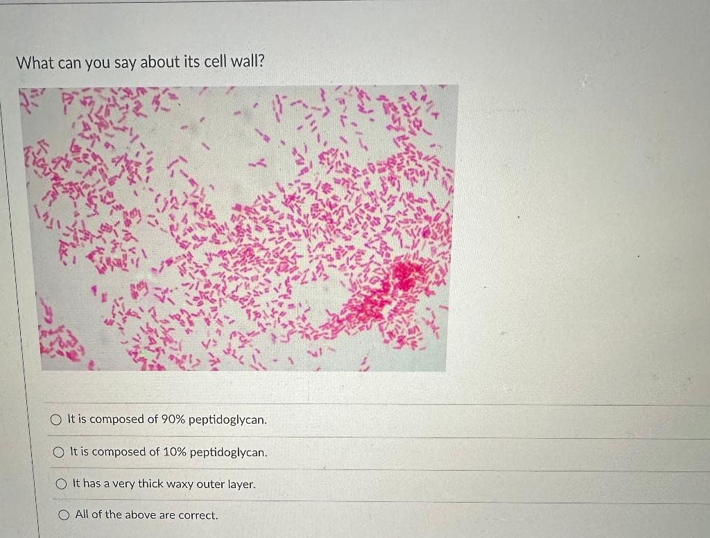 Solved If you were to perform the indole test with the SIM | Chegg.com