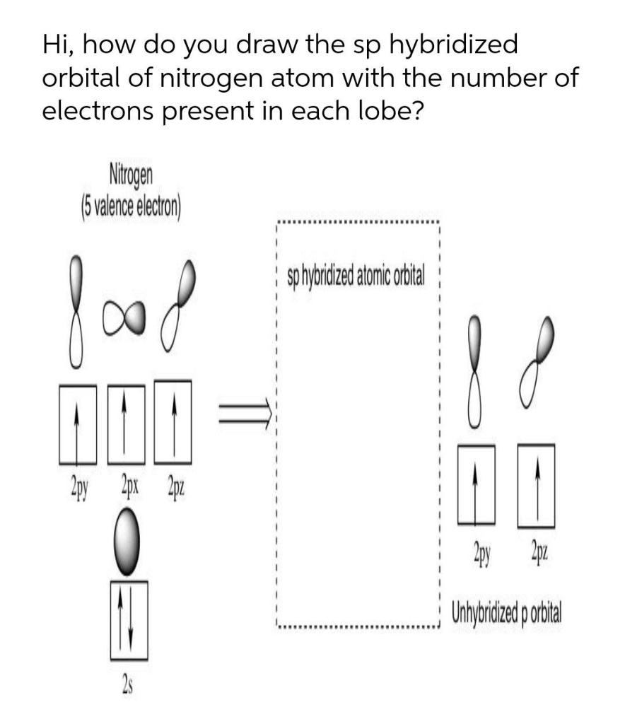 Solved Hi, how do you draw the sp hybridized orbital of | Chegg.com