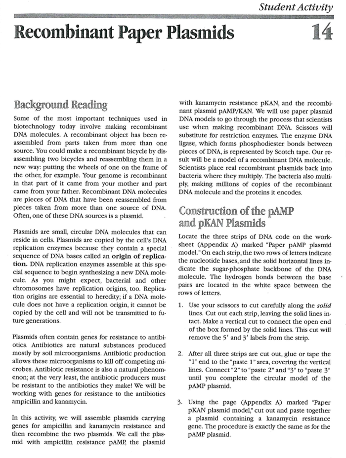 Student Activity Paper Plasmids 14