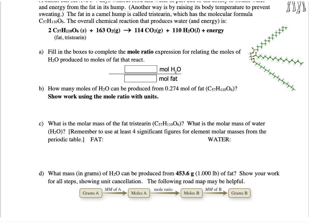 Solved I Want B-D Answered Please I Feel So Dumb Because I | Chegg.com