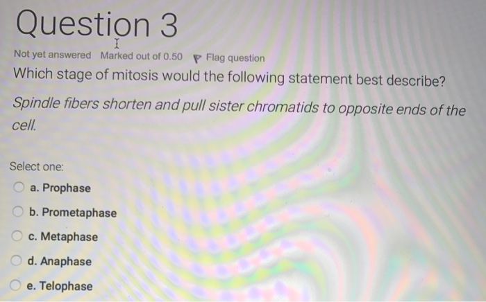 Solved: Chromosomes Lined Up On The Metaphase Plate In Pre... | Chegg.com