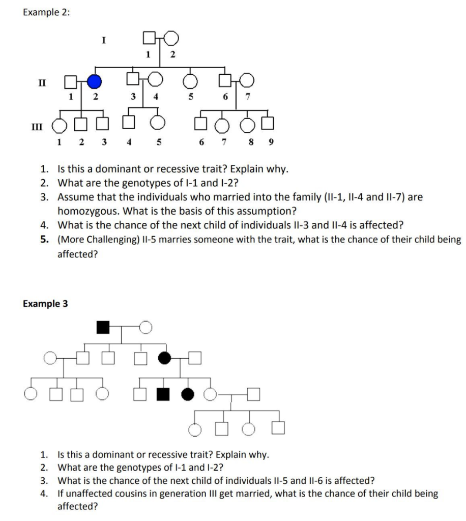 Solved Example 2: 1. Is this a dominant or recessive trait? | Chegg.com